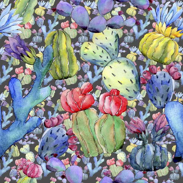 Wildblumen-Kakteen-Blumenmuster im Aquarell-Stil. — Stockfoto