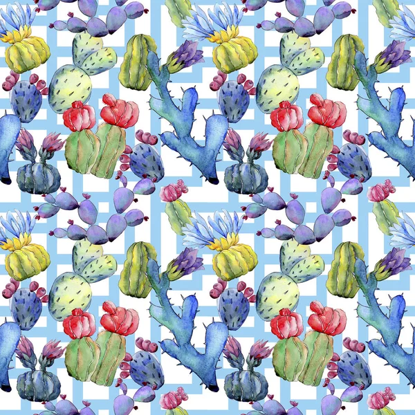 Wildflower cactus bloemenpatroon in een aquarel stijl. — Stockfoto