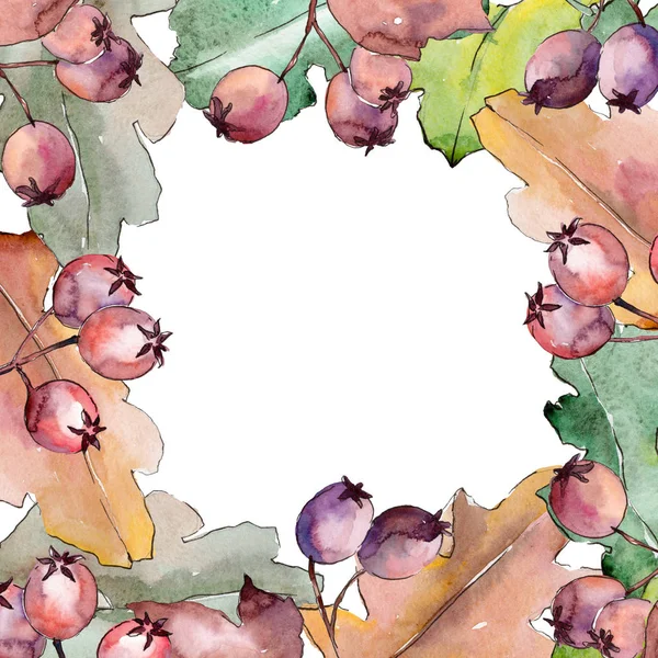 Oak leaves frame in a watercolor style.