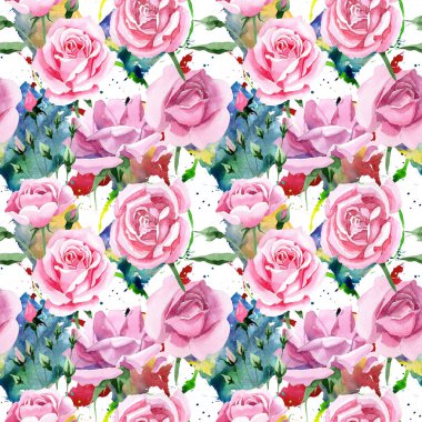 Kır çiçeği pembe çay rosa çiçek deseni suluboya tarzında.