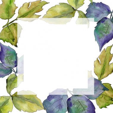 Böğürtlen yaprakları çerçeve suluboya tarzında.