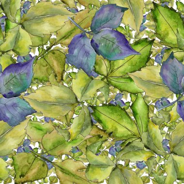 Böğürtlen yaprağı deseni suluboya tarzında.