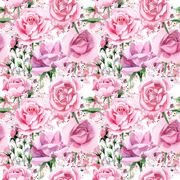 Wildflower pink tea rosa flower pattern in a watercolor style. — Stock Photo, Image