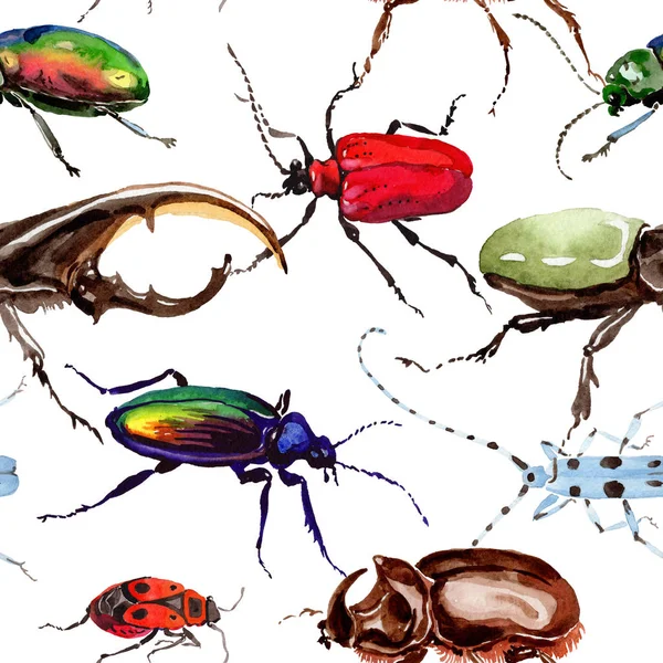 Scarabei esotici modello di insetto selvatico in stile acquerello . — Foto Stock