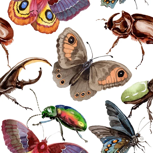 Экзотические жуки дикие насекомые рисунок в стиле акварели . — стоковое фото