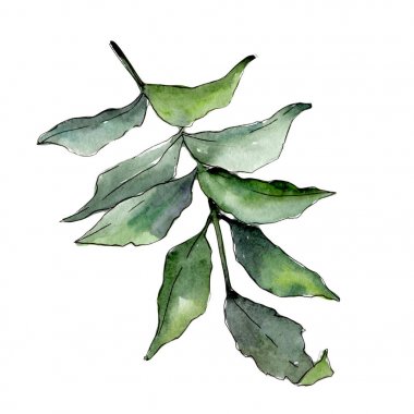 İzole bir suluboya tarzında kül bırakır.