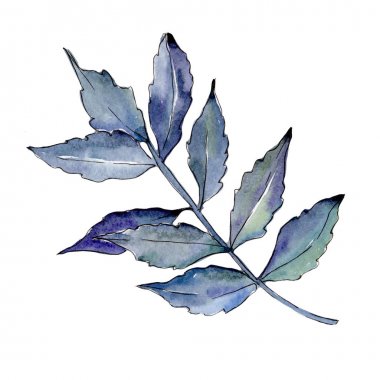 İzole bir suluboya tarzında kül bırakır.