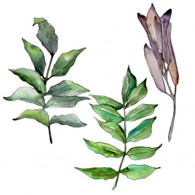 İzole bir suluboya tarzında kül bırakır.