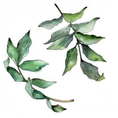 İzole bir suluboya tarzında kül bırakır.