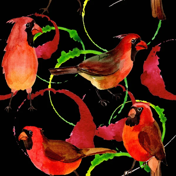 Cielo pájaro rojo patrón cardinal en una vida silvestre por estilo acuarela . —  Fotos de Stock