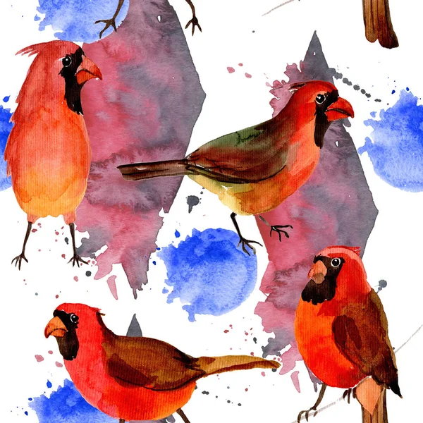 Sky bird red cardinal pattern in a wildlife by watercolor style. — Stock Photo, Image