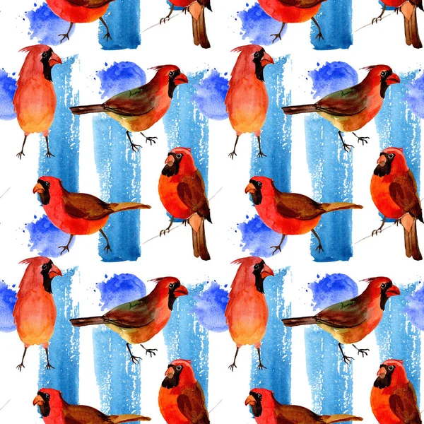 Sky bird red cardinal pattern in a wildlife by watercolor style. — Stock Photo, Image