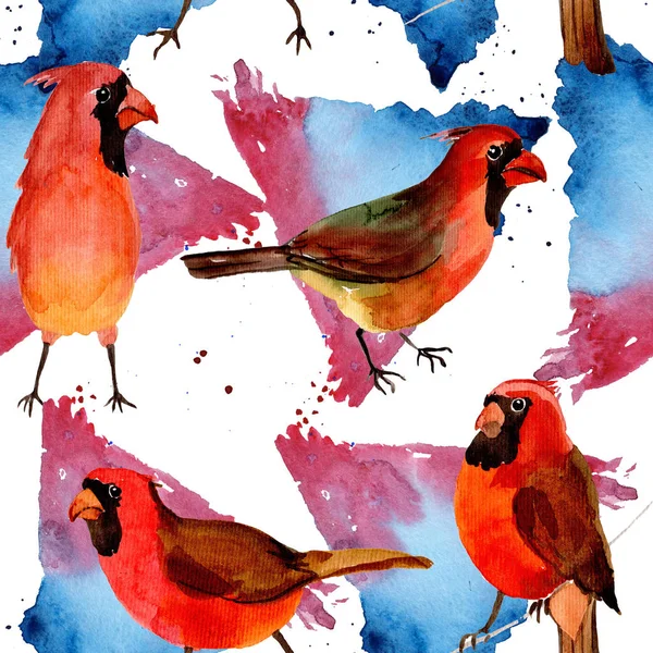 Céu pássaro vermelho padrão cardinal em uma vida selvagem pelo estilo aquarela . — Fotografia de Stock