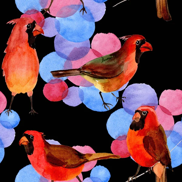 Sky bird red cardinal pattern in a wildlife by watercolor style. — Stock Photo, Image