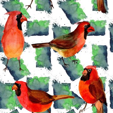 Gökyüzü kuş kırmızı yaban hayatı suluboya stili tarafından Kardinal desende.