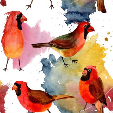 Gökyüzü kuş kırmızı yaban hayatı suluboya stili tarafından Kardinal desende.