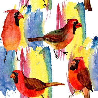 Gökyüzü kuş kırmızı yaban hayatı suluboya stili tarafından Kardinal desende.