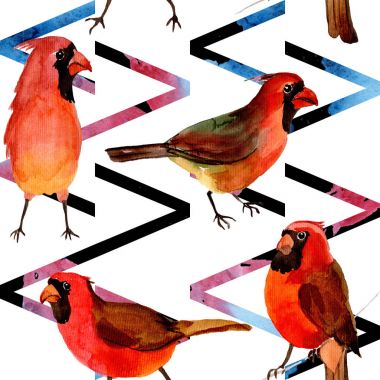 Gökyüzü kuş kırmızı yaban hayatı suluboya stili tarafından Kardinal desende.