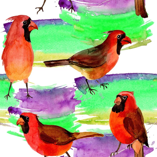 Sky bird red cardinal pattern in a wildlife by watercolor style. — Stock Photo, Image