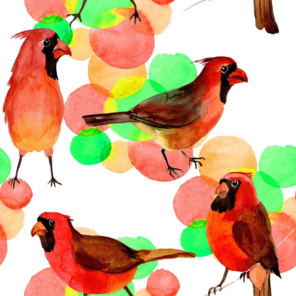 Красный кардинал небесной птицы в дикой природе по стилю акварели . — стоковое фото