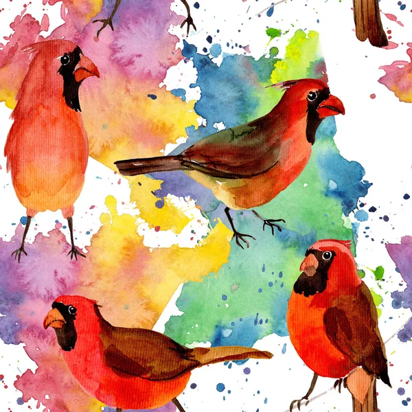 Cielo pájaro rojo patrón cardinal en una vida silvestre por estilo acuarela . —  Fotos de Stock