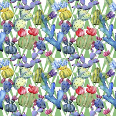 Kır çiçeği kaktüs çiçek deseni suluboya tarzında.