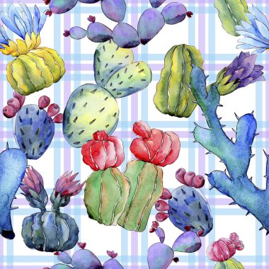 Kır çiçeği kaktüs çiçek deseni suluboya tarzında.