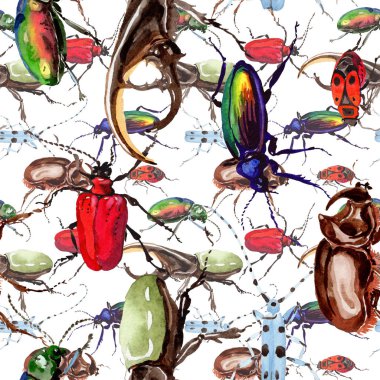 Egzotik böcekler vahşi böcek desen suluboya tarzında.