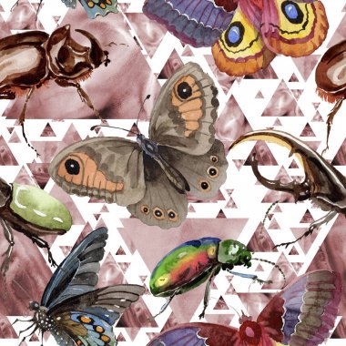 Egzotik böcekler vahşi böcek desen suluboya tarzında.