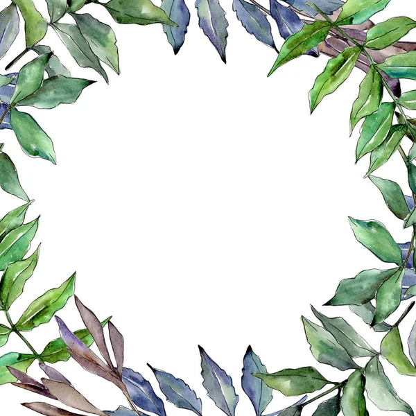 Ash leaves frame in a watercolor style. — Stock Photo, Image