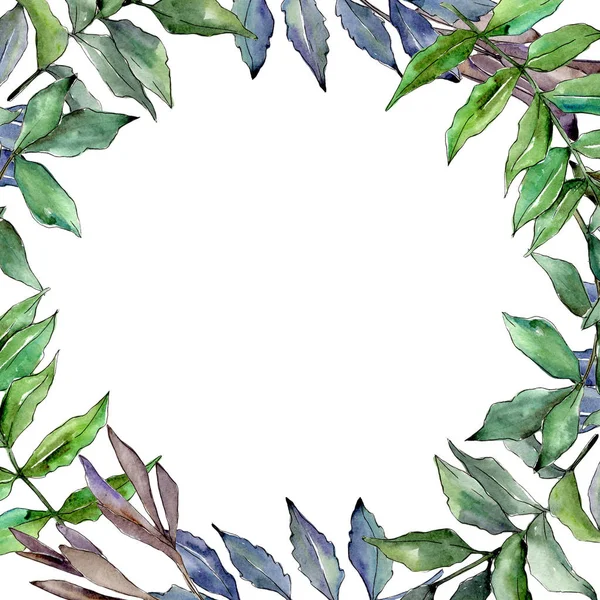 Ash leaves frame in a watercolor style.