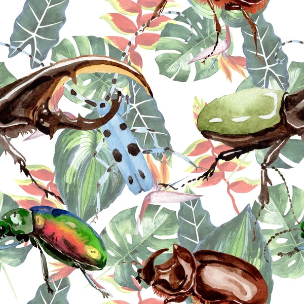 Besouros exóticos padrão de inseto selvagem em um estilo aquarela . — Fotografia de Stock