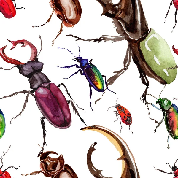 수채화 스타일에 이국적인 딱정벌레 야생 곤충 패턴. — 스톡 사진