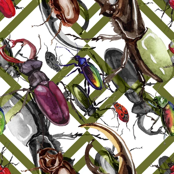 Coléoptères exotiques motif d'insectes sauvages dans un style aquarelle . — Photo