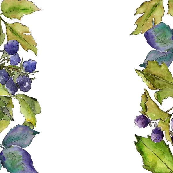 Blackberry leaves frame in a watercolor style.