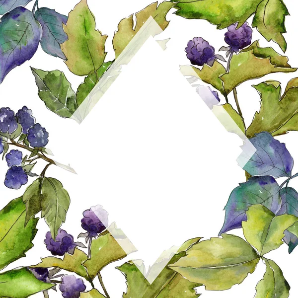 Blackberry leaves frame in a watercolor style.