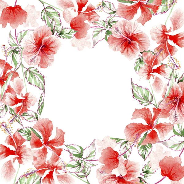 Flor silvestre rosa marco de flores en un estilo de acuarela . —  Fotos de Stock