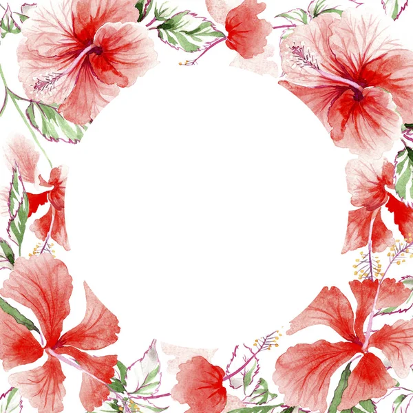 Flor silvestre rosa marco de flores en un estilo de acuarela . —  Fotos de Stock