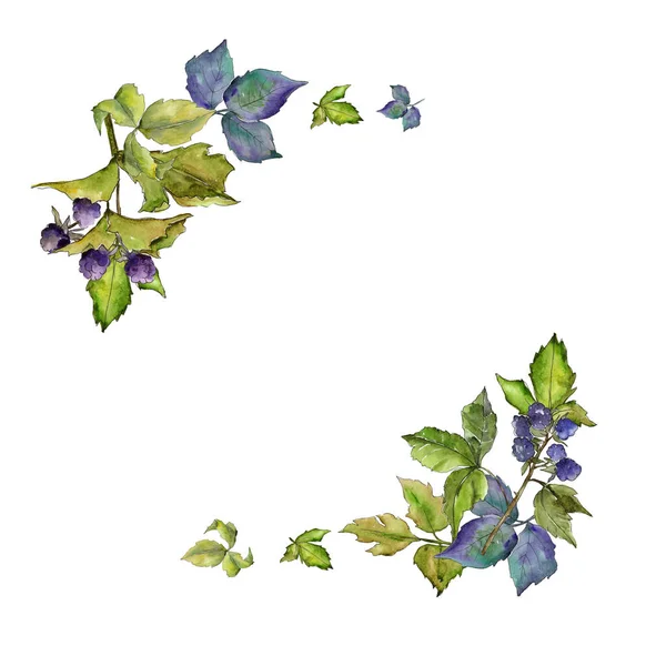 Blackberry leaves wreath in a watercolor style. — Stock Image Blackberry leaves wreath in a watercolor style. Royalty Free Stock Images