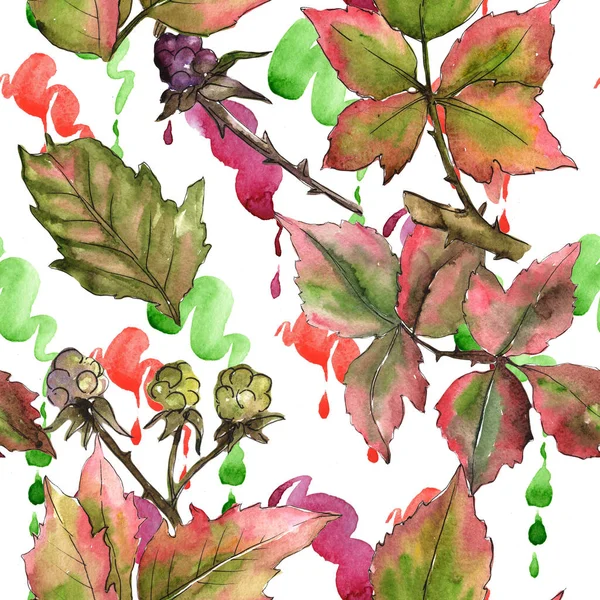Patrón de hojas de mora en un estilo de acuarela . — Foto de Stock