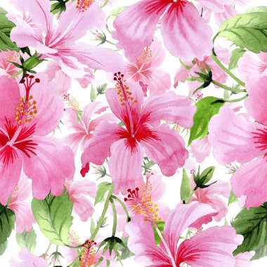 Kır çiçeği hibiscus Pembe çiçek deseni suluboya tarzında.