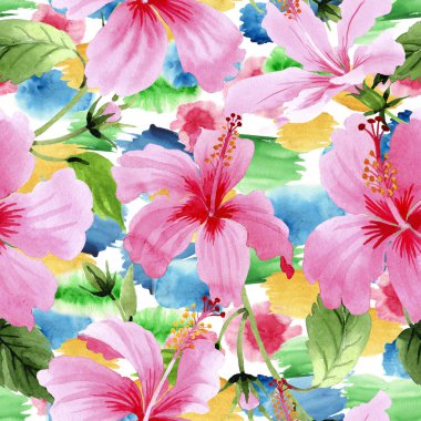 Kır çiçeği hibiscus Pembe çiçek deseni suluboya tarzında.