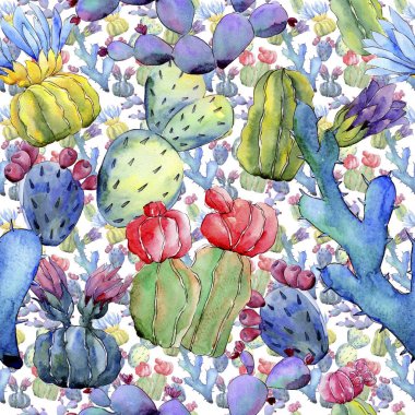 Kır çiçeği kaktüs çiçek deseni suluboya tarzında.