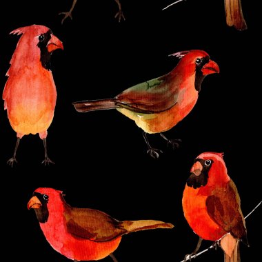 Gökyüzü kuş kırmızı yaban hayatı suluboya stili tarafından Kardinal desende.