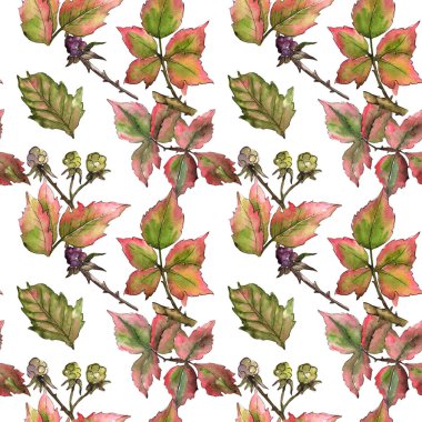 Böğürtlen yaprağı deseni suluboya tarzında.