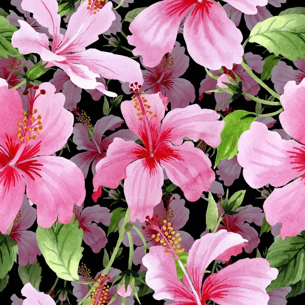 Wildflower hibiscus roze bloemenpatroon in een aquarel stijl. — Stockfoto