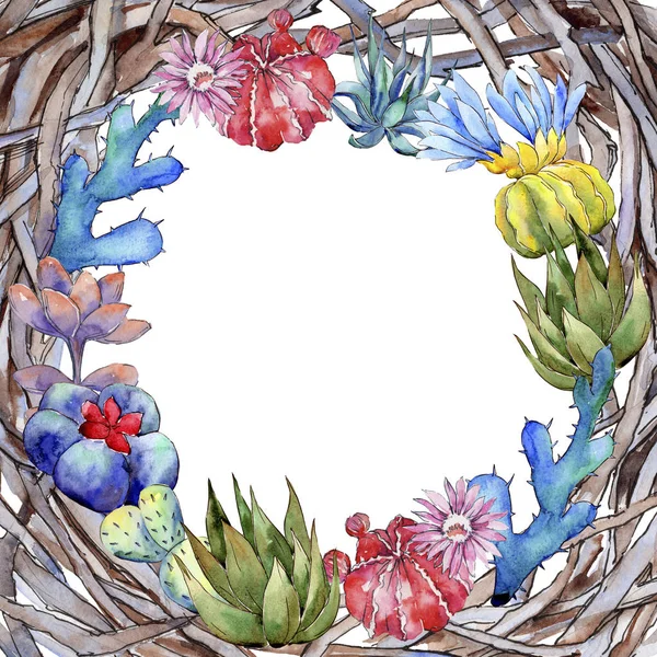 Telaio fiore di cactus Wildflower in stile acquerello . — Foto Stock