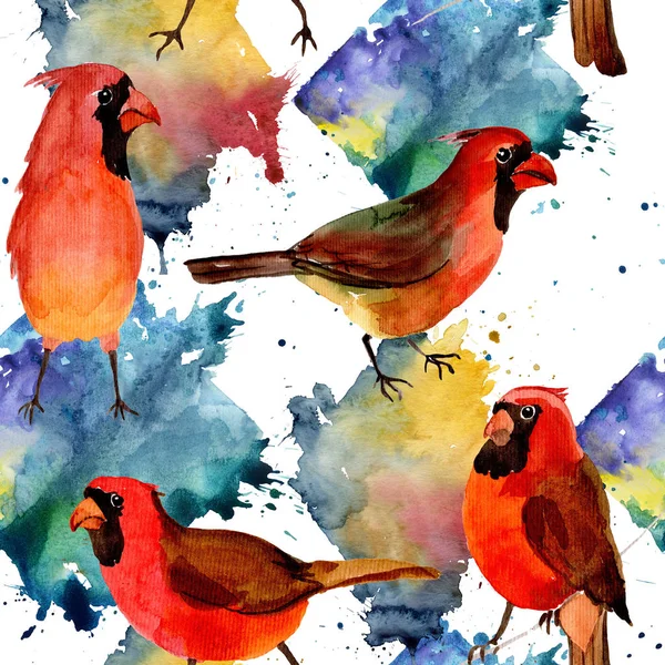 Sky bird red cardinal pattern in a wildlife by watercolor style. — Stock Photo, Image