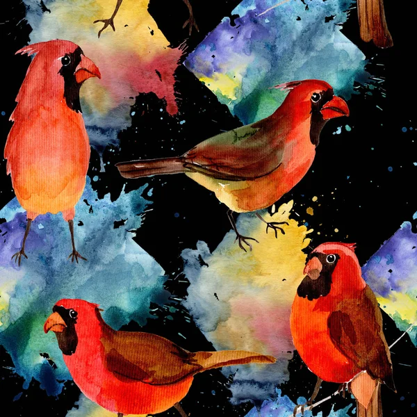 Sky bird red cardinal pattern in a wildlife by watercolor style. — Stock Photo, Image