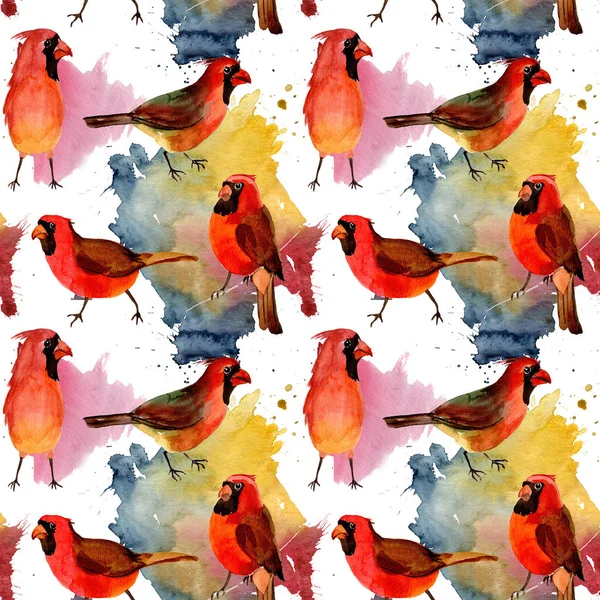 Céu pássaro vermelho padrão cardinal em uma vida selvagem pelo estilo aquarela . — Fotografia de Stock